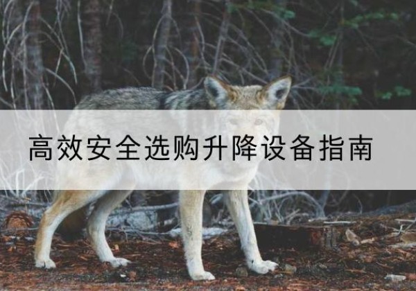锡山升降货梯厂家推荐-*安全选购升降设备指南