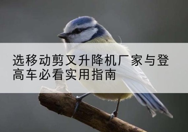 锡山电动升降机厂家-选移动剪叉升降机厂家与登高车必看实用指南